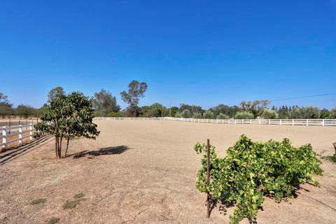9809 Harvey Rd, Galt, CA 95632 photo 70