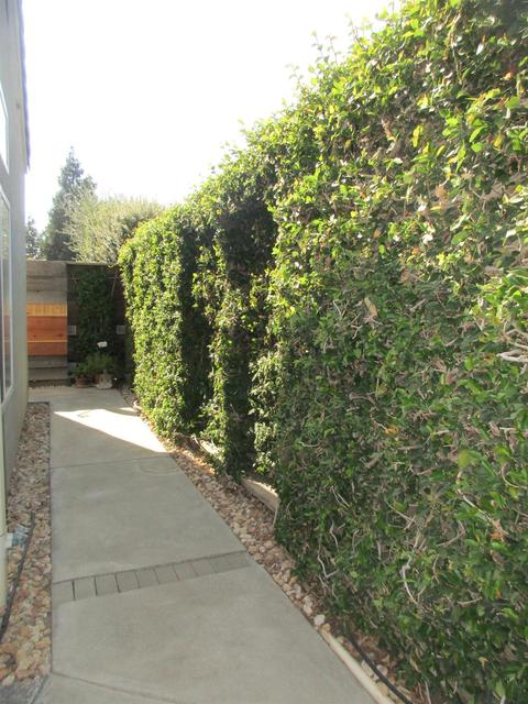 3213 Humberton Pl, Modesto, CA 95355 photo 51