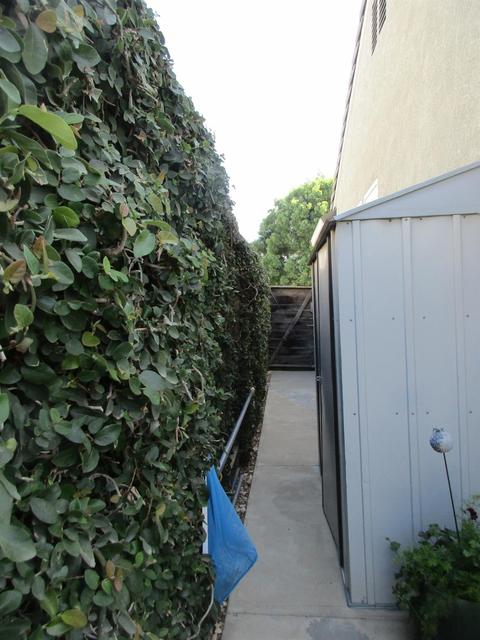 3213 Humberton Pl, Modesto, CA 95355 photo 54