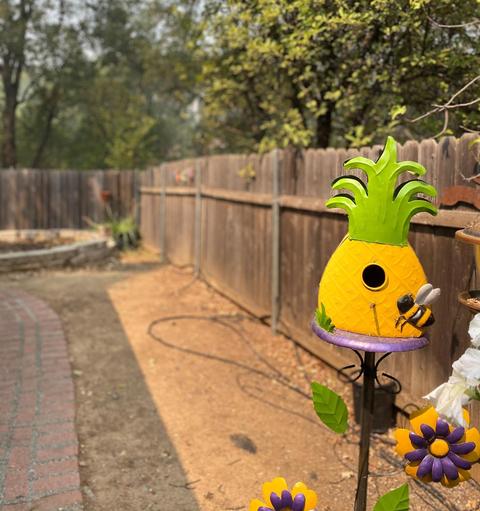 1804 Alexander Ct, Placerville, CA 95667 photo 27