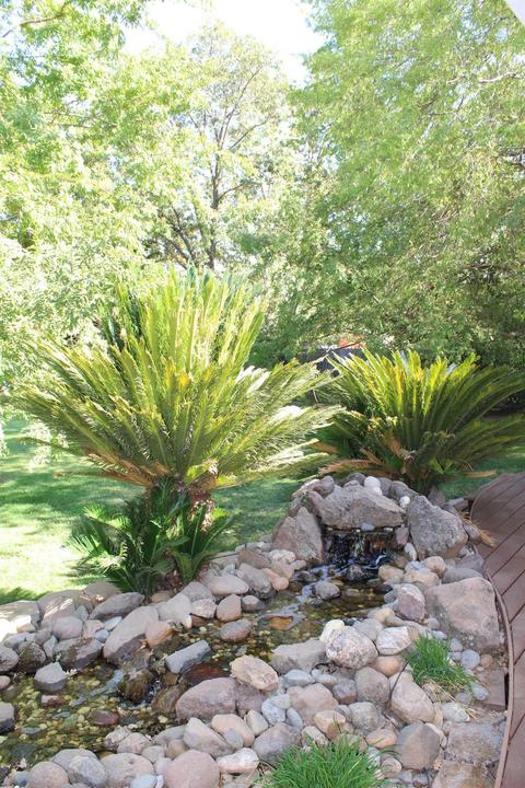 7826 Ranch River Dr, Elverta, CA 95626 photo 70