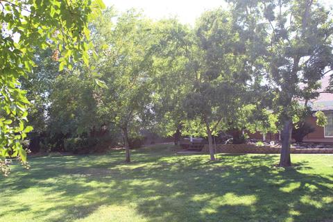 7826 Ranch River Dr, Elverta, CA 95626 photo 77