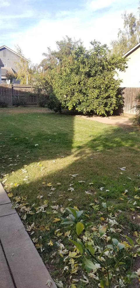 2708 Typhoon Ave, Modesto, CA 95355 photo 20