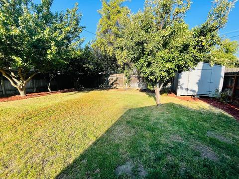 518 S Locust Ave, Ripon, CA 95366 photo 23