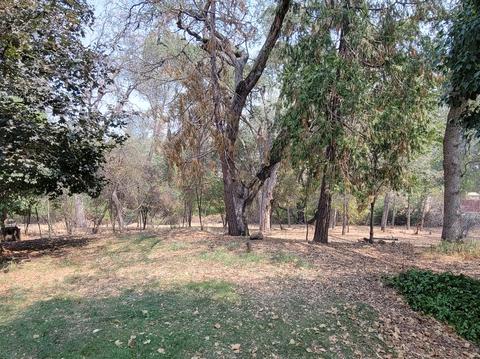 4171 Missouri Flat Rd, Placerville, CA 95667 photo 8