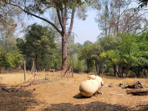 4171 Missouri Flat Rd, Placerville, CA 95667 photo 15