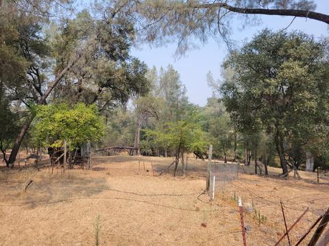 4171 Missouri Flat Rd, Placerville, CA 95667 photo 10
