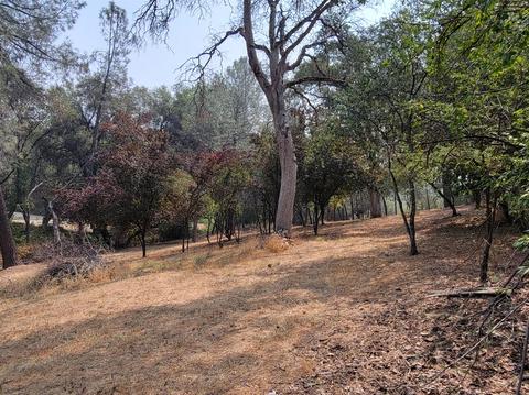 4171 Missouri Flat Rd, Placerville, CA 95667 photo 12