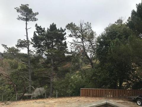 1664 Michael Dr, Pinole, CA 94564 photo 11
