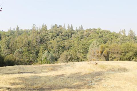 13901 Shake Ridge Rd, Sutter Creek, CA 95685 photo 37
