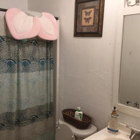 430 Aries Pl, Lathrop, CA 95330 photo 14