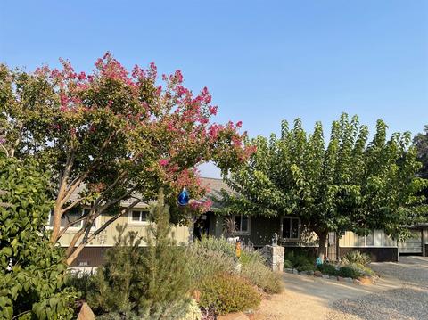 3782 Rolling Meadow Dr, Murphys, CA 95247 photo 2