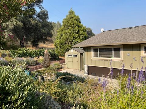3782 Rolling Meadow Dr, Murphys, CA 95247 photo 4