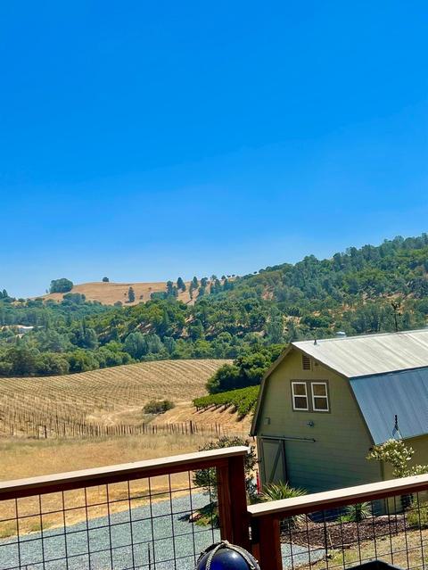 3782 Rolling Meadow Dr, Murphys, CA 95247 photo 15