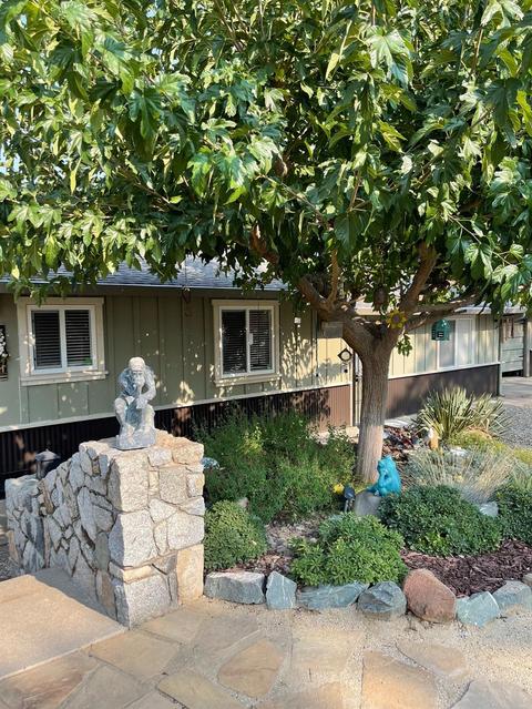 3782 Rolling Meadow Dr, Murphys, CA 95247 photo 7