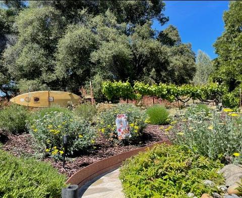 3782 Rolling Meadow Dr, Murphys, CA 95247 photo 6