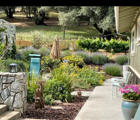 3782 Rolling Meadow Dr, Murphys, CA 95247 photo 5