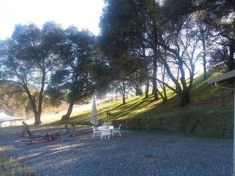 3782 Rolling Meadow Dr, Murphys, CA 95247 photo 30