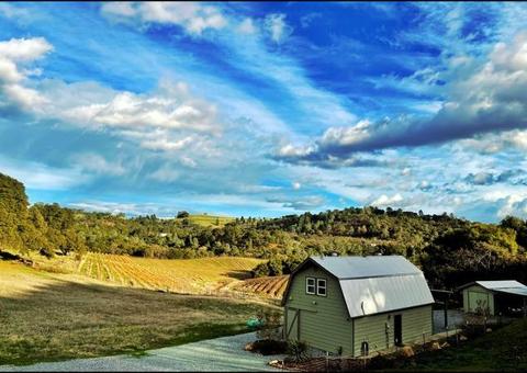 3782 Rolling Meadow Dr, Murphys, CA 95247 photo 3