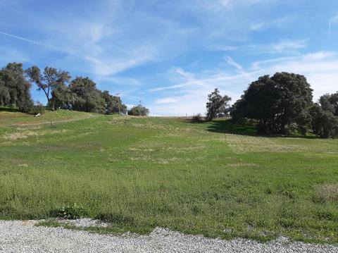 3782 Rolling Meadow Dr, Murphys, CA 95247 photo 38