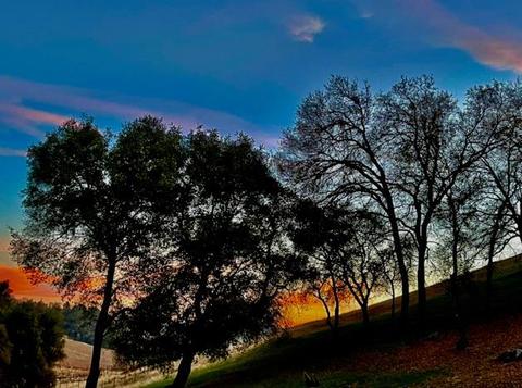 3782 Rolling Meadow Dr, Murphys, CA 95247 photo 40