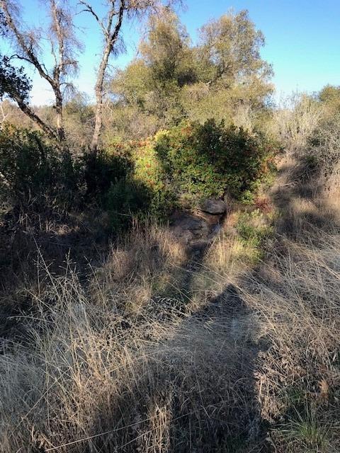 15621 Argyle, Sonora, CA 95370 photo 6