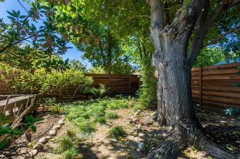 1709 Tea Pl, Davis, CA 95618 photo 19