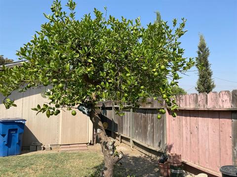 3037 6th St, Ceres, CA 95307 photo 49