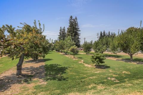 12162 E Louise Ave, Manteca, CA 95336 photo 64