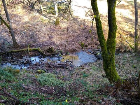 3567 Mining Brook Rd, Placerville, CA 95667 photo 42