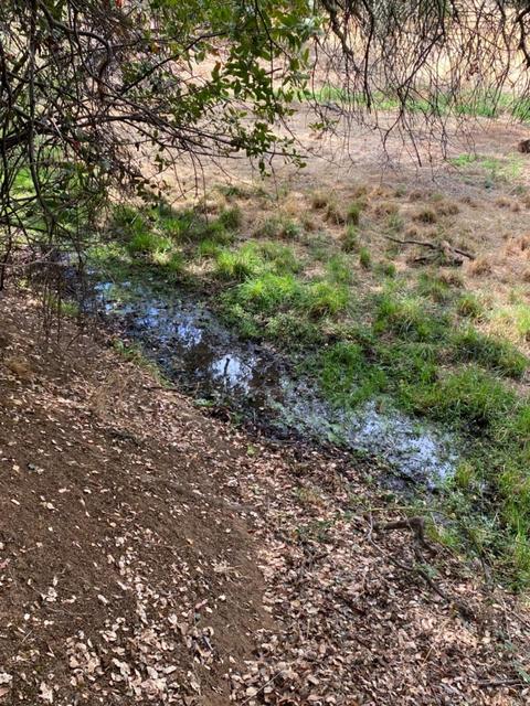 2956 Deer Valley Rd, Rescue, CA 95672 photo 60