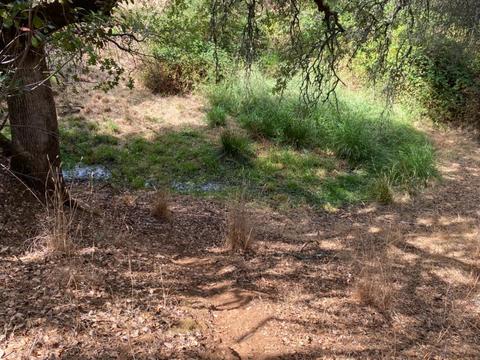 2956 Deer Valley Rd, Rescue, CA 95672 photo 59