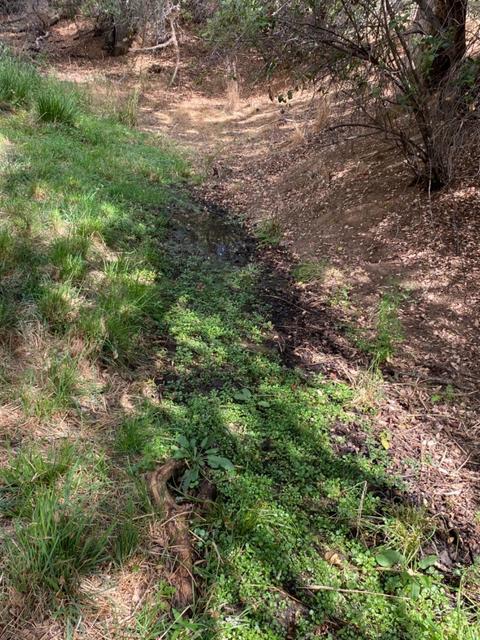 2956 Deer Valley Rd, Rescue, CA 95672 photo 61