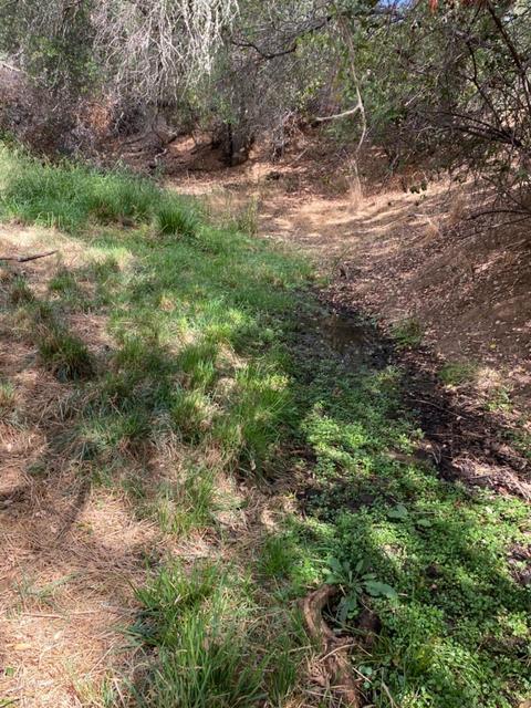 2956 Deer Valley Rd, Rescue, CA 95672 photo 62