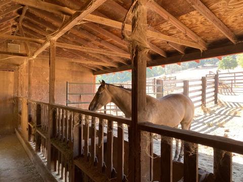 2956 Deer Valley Rd, Rescue, CA 95672 photo 39