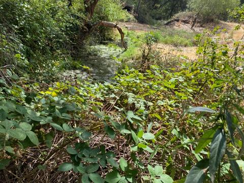 2956 Deer Valley Rd, Rescue, CA 95672 photo 63