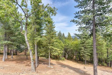 6817 Gray Ct, Foresthill, CA 95631 photo 43