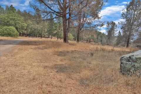 3101 Seven Up Ranch Rd, Georgetown, CA 95634 photo 29