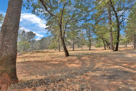 3101 Seven Up Ranch Rd, Georgetown, CA 95634 photo 25