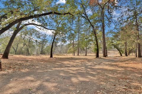 3101 Seven Up Ranch Rd, Georgetown, CA 95634 photo 26