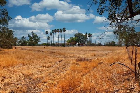 9030 Elwyn Ave, Elverta, CA 95626 photo 28