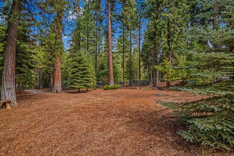 25312 Overland Dr, Volcano, CA 95689 photo 40
