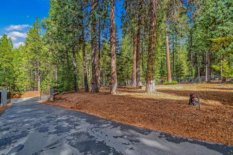 25312 Overland Dr, Volcano, CA 95689 photo 41