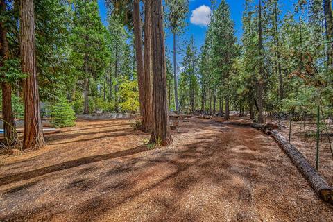 25312 Overland Dr, Volcano, CA 95689 photo 39