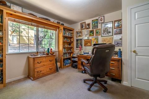 21351 Robin Ln, Pine Grove, CA 95665 photo 34