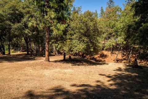 21351 Robin Ln, Pine Grove, CA 95665 photo 41
