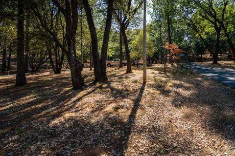 21351 Robin Ln, Pine Grove, CA 95665 photo 48