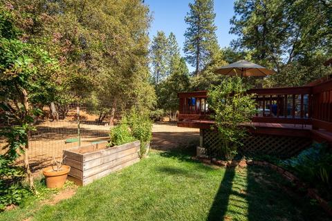 21351 Robin Ln, Pine Grove, CA 95665 photo 14