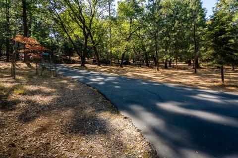 21351 Robin Ln, Pine Grove, CA 95665 photo 39