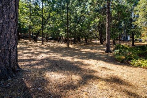21351 Robin Ln, Pine Grove, CA 95665 photo 47